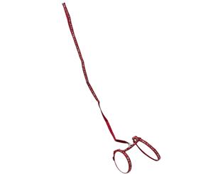 AB Tools Burgundy Small Animal Paw Print Harness & Lead (Neck14-20/Chest18-28cm)