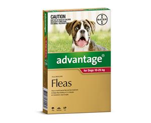 Advantage for Dogs 10-25 kgs - 4 Pack - Red - Flea Control Treatment (Bayer)