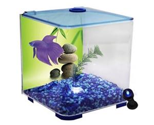 Betta Style Acrylic Fighter Fish Tank with LED Light - Blue - 3 Litres (Aqua One)