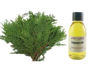 Christmas Cedar - Fragrance Oil