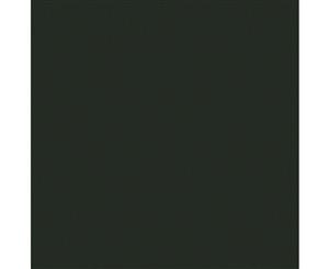 Clairefontaine Pastelmat Pad Anthracite 360g 18x24cm 12 sheets