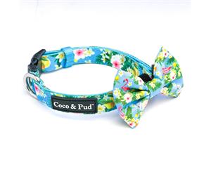 Coco & Pud Flamingo Tropical Collar & Bowtie