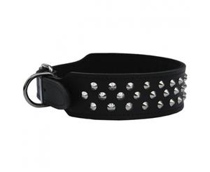 Dog Collar Staffy/Bull Terrier Leather with Studs 50mm - Black