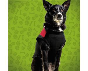 Essendon Medium Dog Jumper