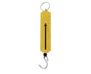 Fishtech Brass Spring Scales 50kg