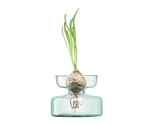 LSA Canopy Recycled Glass Vase/Bulb Planter