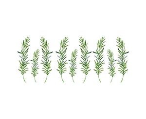 Little Grass Wall Stickers Decals (Size72cm x 30cm)