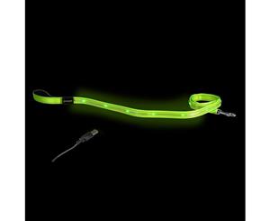 Loomo LED Dog Lead Green