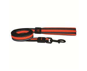 Loud Orange 2cm x 120cm Padded Reflective Dog Leash Lead Scream