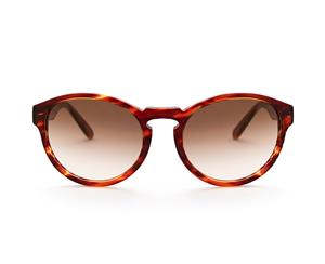 Nino Havana Sunglasses - OM Gradient Brown