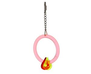 Parrot Toy Acrylic Medium Ring Toy Health Interactive Ornament Cage Play Bird