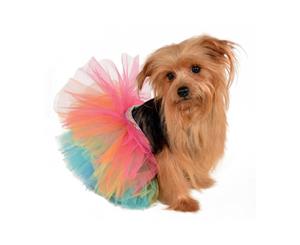 Rainbow Pet Tutu