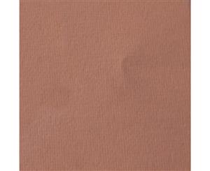 SAA Pastel Practice Paper - Ochre Pack of 10 - 50x35cm