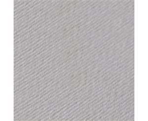 SAA Practice Pastel Paper Pearl Pack of 10 25x35cm