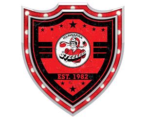 STEELERS St George Illawarra Dragons NRL Light Up Bar Sign Plaque Shield