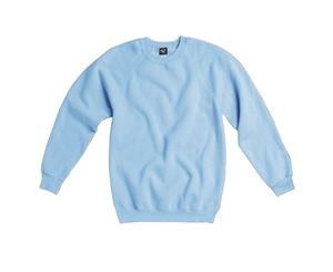 Sg Mens Raglan Sleeve Crew Neck Sweatshirt (Sky Blue) - BC1069