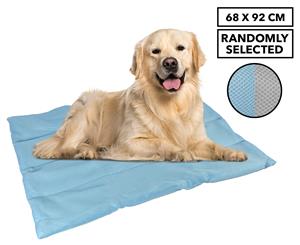 Sweet Dreams 68x92cm Foldable Pet Blanket - Randomly Selected