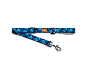 Woof Concept Dog Leash Apex