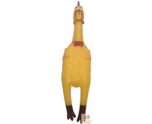 6x Shrilling Chicken Rubber Dog Toy