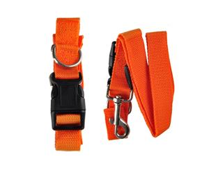 Adjustable Dog Leash Buddy Belt in ORANGE