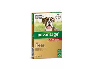 Advantage - Flea Control - Dogs 10kg - 25kg - 6 x 2.5ml