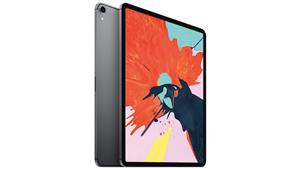 Apple 12.9-inch iPad Pro Wi-Fi 256GB - Space Grey