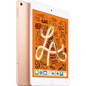 Apple iPad mini 256GB Wi-Fi + Cellular (Gold) [2019]