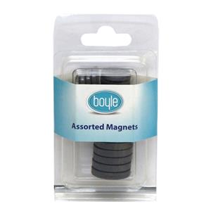 Boyle Assorted Craft Magnet - 20 Pack
