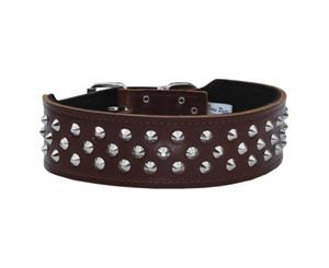 Dog Collar Staffy/Bull Terrier Leather with Studs 43mm - Brown