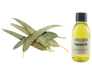 Eucalyptus Leaf - Fragrance Oil