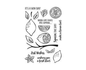 Hero Arts Clear Stamps 4in x 6in - Zest Wishes