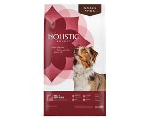 Holistic Select Grain Free Health Dry Dog Food - Salmon Anchovy & Sardine Meal