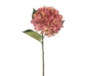 Hydrangea - Rose Pink