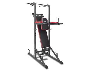 Lifespan Fitness PTX-100 Power Tower - Black/Silver