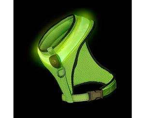 Loomo LED Mesh Harness Green