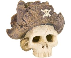 Lost City Pirate Skull 7X8X7Cm Ornament