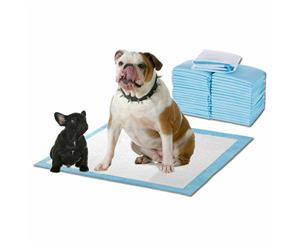 PawZ New 200pcs 60x60cm Puppy Pet Dog Indoor Cat Toilet Training Pads Absorbent