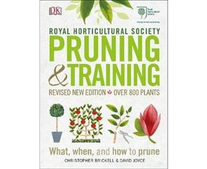 Pruning & Training  What When and How to Prune