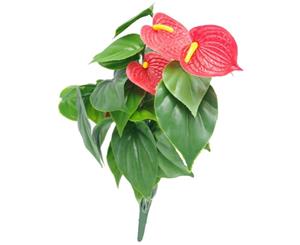 Red Anthurium Bunch UV