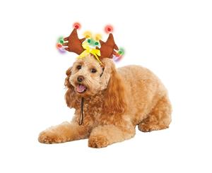 Reindeer Light Up Pet Costume