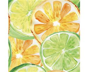 Sumptuous Citrus Wall Art Canvas Print