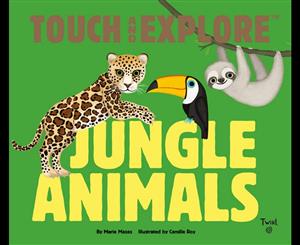 Touch and Explore  Jungle Animals