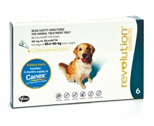 6pk Revolution Flea Treatment For Large Dogs 20.1-40kg