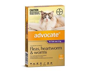 Advocate Cat Flea and Worm Treatment Over 4kg Purple 1 Pack (A2314)