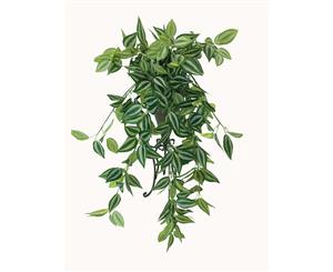 Artificial Mixed White and Green Hanging Philodendron Bush 80cm