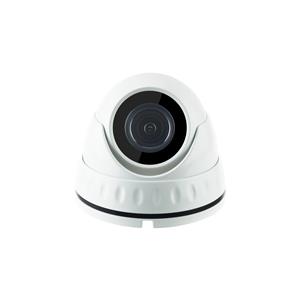 CAMAD202 Analog Dome Camera 2 Megapixel