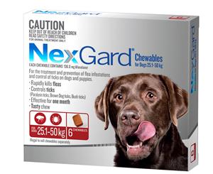 NexGard Flea & Tick Control Chews for XL Dogs 25.1-50kg 6pk