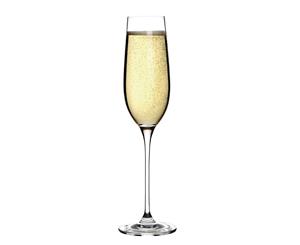 Pack of 6 Olympia Campana One Piece Crystal Champagne Flute 260ml