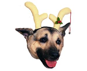 Pet Dog Reindeer Antlers Christmas Cute Costume