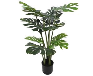 Split Philodendron (Split Leaf) 120cm